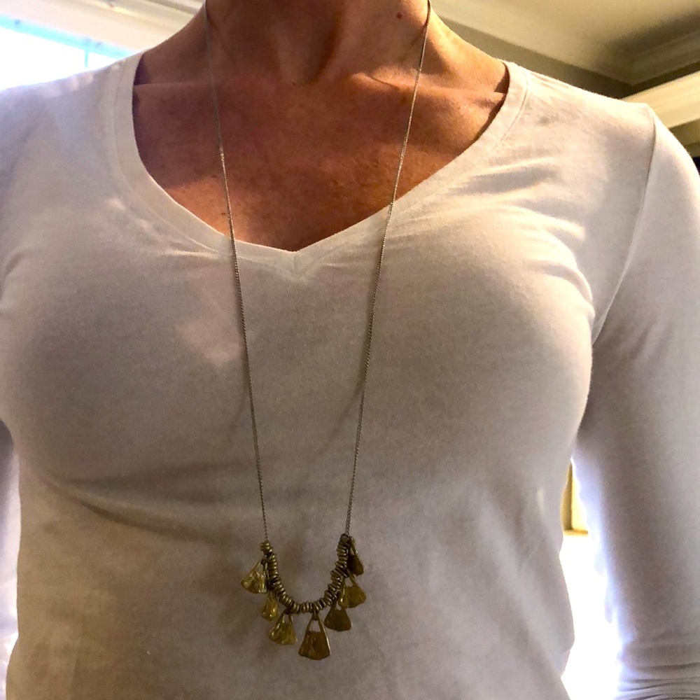 Banana Republic silver and gold long necklace